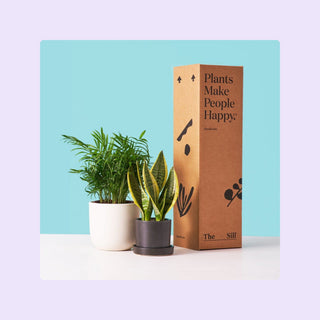 The Sill Plant Subscription
